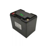 Nizka temperatura 48V 200AH s funkcijo samoogrevanja